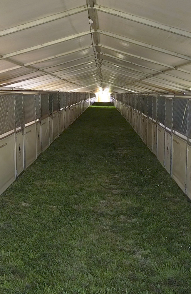 pferdeboxen-zeltanlage