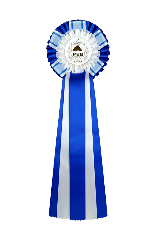 preisschleife-blau-weis-kl