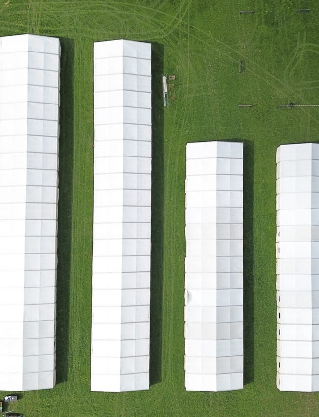 peb-tannleite-brakel